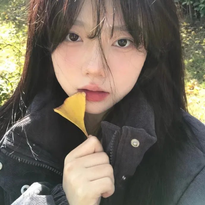 花落水流红